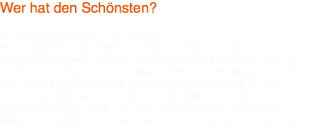 Wer hat den Schönsten? Beim Kleingarten Bundeswettbewerb. Was haben ein Doktor für Urbanistik, eine Mitarbeiterin des Umweltministeriums und ein Landschaftsarchitekt gemeinsam? Sie sind Teil einer Jury, die 3500 Kilometer durch Deutschland reist, um unter 30 Schrebergartenanlangen die besten zu finden. Um die herrlichsten Blumenrabatte geht es beim Kleingartenbundes-wettbewerb nur am Rande. Im Kriterienkatalog wird auch nach Migranten, Frauen im Vorstand und sozialem Engagement gefragt. 